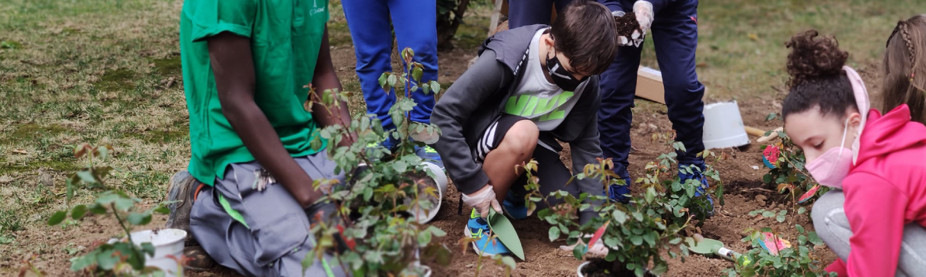 Hyundai Seulcar fomenta la conciencia medioambiental en el Día del Árbol